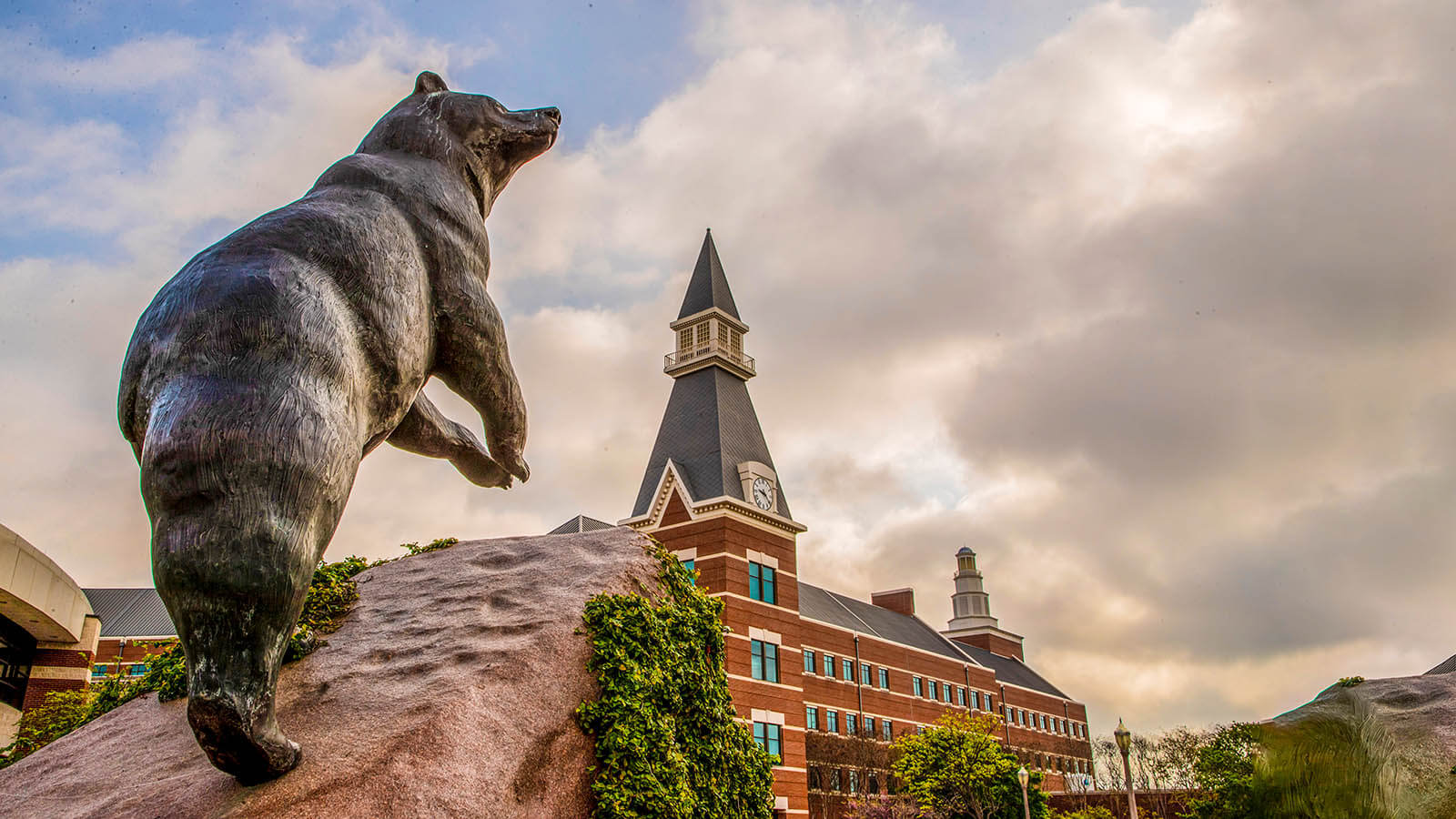 Health Services | Baylor University